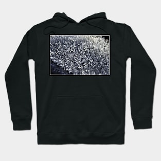 Icicles at Abbotts Wood Hoodie